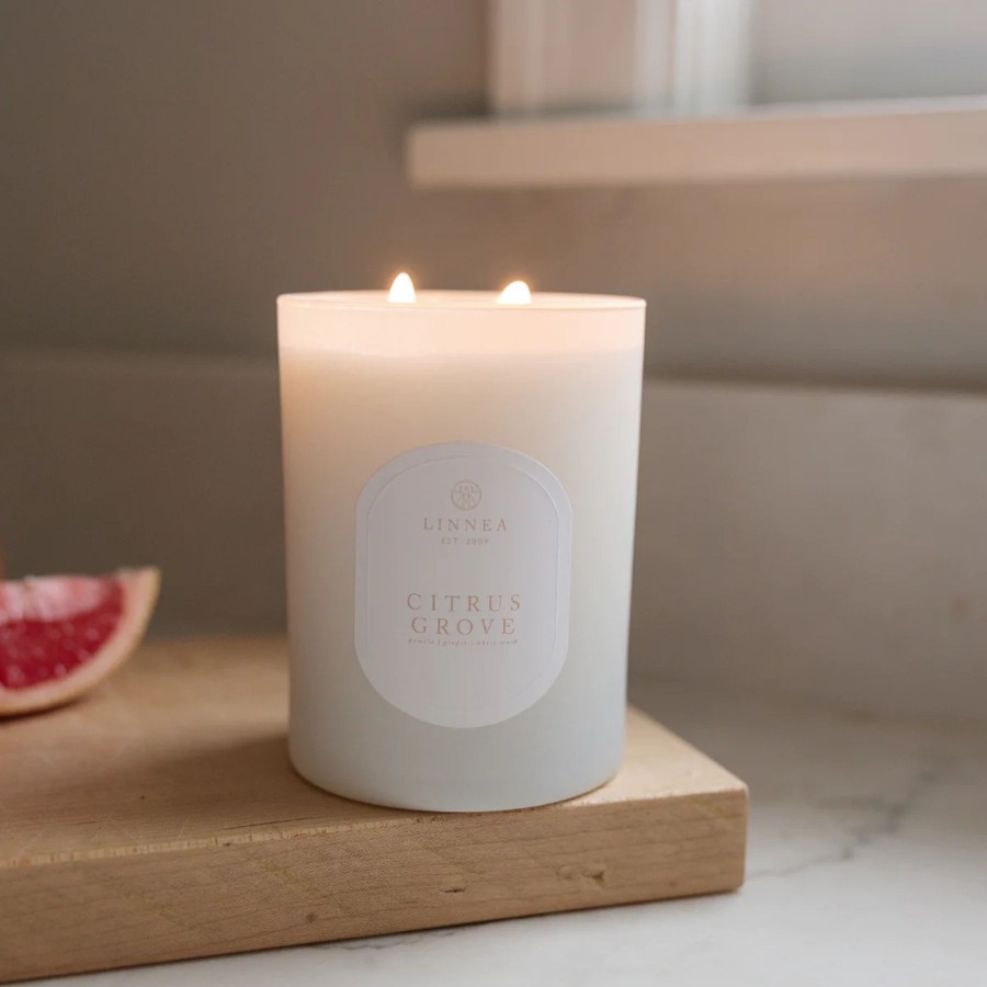 Home Linnea's Lights | Linnea'S Lights Double Wick Candle Citrus Grove