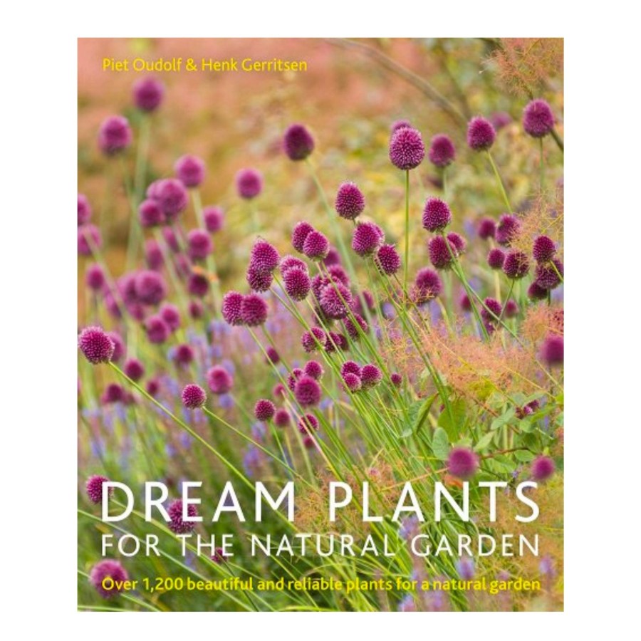 Home Ingram | Dream Plants