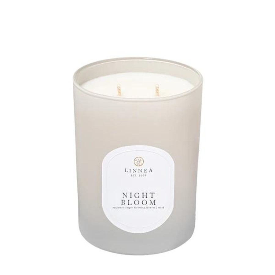 Home Linnea's Lights | Linnea'S Lights Double Wick Candle Night Bloom