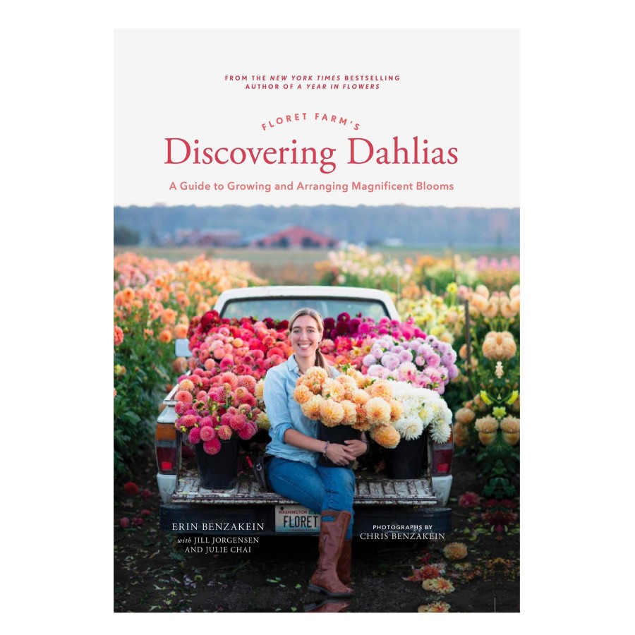 Home Ingram | Discovering Dahlias